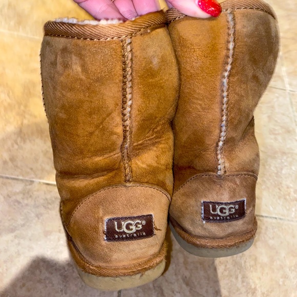 UGG Shoes - UGG Short Chestnut Classic Boots
